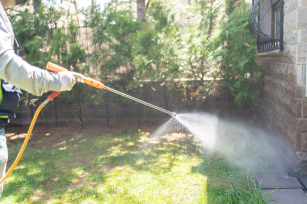 Best Pest Exclusion Services  in Blanchester, OH